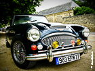 austin-healey-1